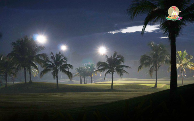 thiết kế chiếu sáng đèn sân golf